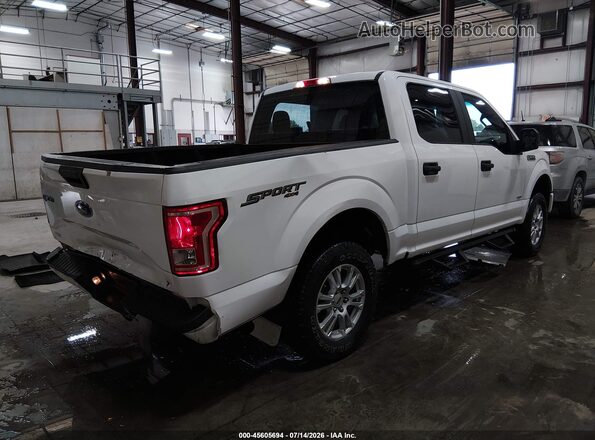 1FTEW1EP8GKF83383 2016 FORD F150 White Rear right