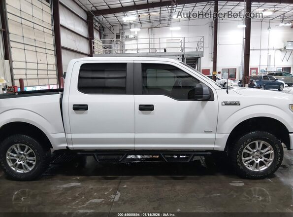1FTEW1EP8GKF83383 2016 FORD F150 White Rear interior view