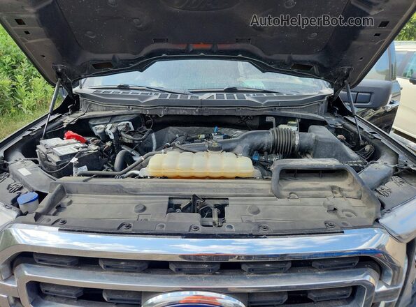 1FTEW1EP8MFC45082 2021 FORD F150 Black უკანა სალონის ხედი