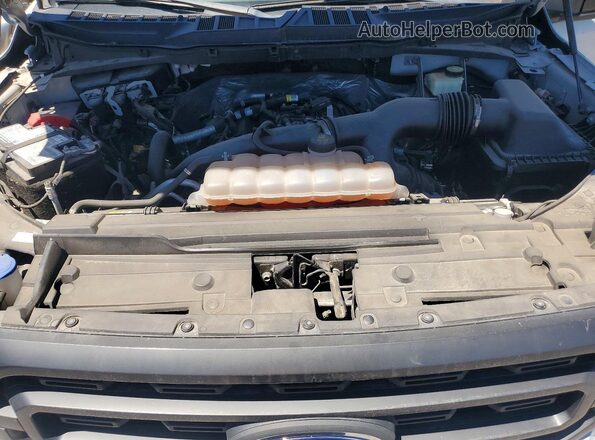 1FTEW1EP8MKE98720 2021 FORD F150 Gray უკანა სალონის ხედი