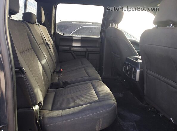 1FTEW1EP9GFC95638 2016 FORD F150 Gray Հետևի նստատեղերի տեսք
