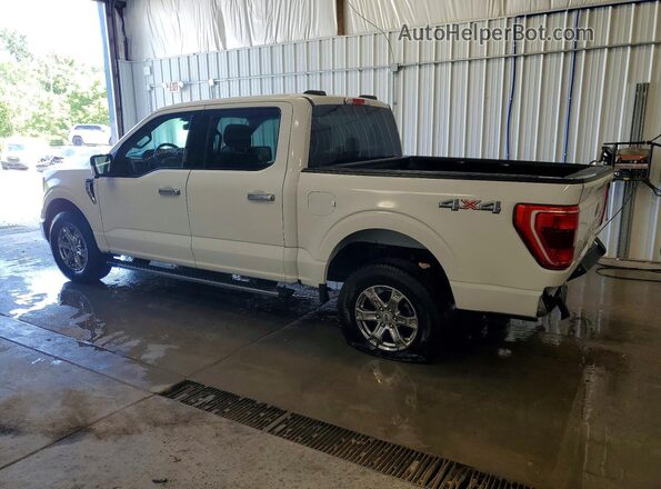 1FTEW1EP9MFC42787 2021 FORD F150 White უკანა მარცხენა
