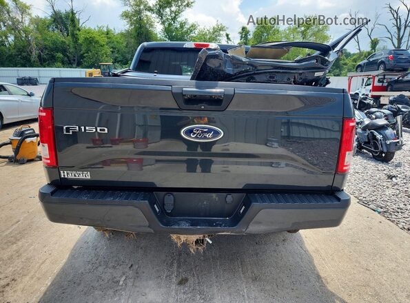 1FTEW1EPXGKE00386 2016 FORD F150 Gray Rear view