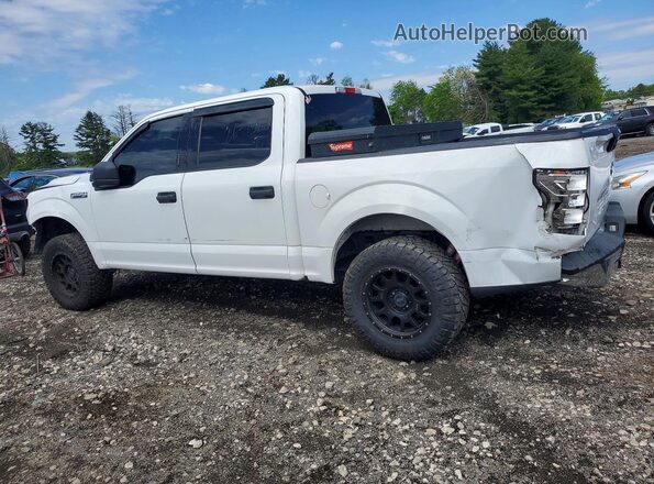 1FTEW1EPXKFB12918 2019 FORD F150 White Հետևի ձախ