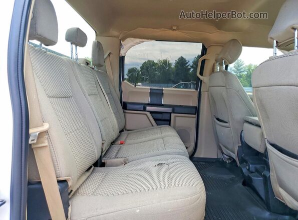 1FTEW1EPXKFB12918 2019 FORD F150 White Հետևի նստատեղերի տեսք
