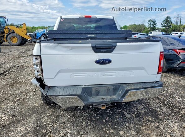 1FTEW1EPXKFB12918 2019 FORD F150 White Հետևի տեսք