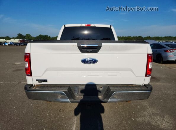 1FTEW1EPXLKD09001 2020 FORD F150 White Widok z tyłu
