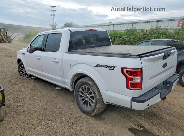1FTEW1EPXLKF36009 2020 FORD F150 White Trasero izquierdo