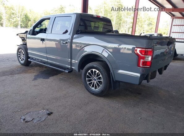 1FTEW1EPXLKF49746 2020 FORD F150 Серый Задняя левая четверть