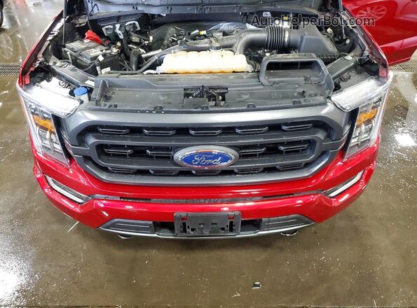 1FTEW1EPXMKD46437 2021 FORD F150 Red Widok wnętrza z tyłu