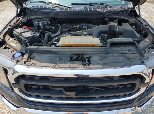 1FTEW1EPXPFB85861 2023 FORD F150 Black Rear interior view