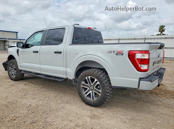 1FTEW1EPXPFB86802 2023 FORD F150 Gray Задня ліва чверть