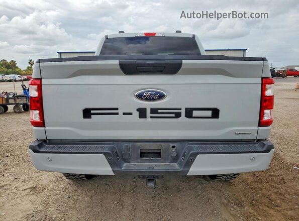 1FTEW1EPXPFB86802 2023 FORD F150 Gray Вид ззаду