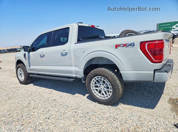 1FTEW1EPXPKG18974 2023 FORD F150 Gray Trasero izquierdo