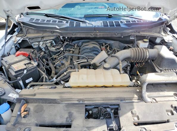 1FTEW1K53RKD68368 2024 FORD F150 Белый Вид задней части салона