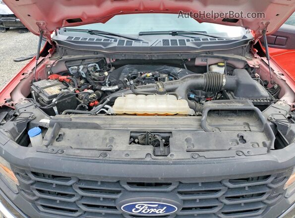 1FTEW1LP9RKD20681 2024 FORD F150 Red Rear interior view