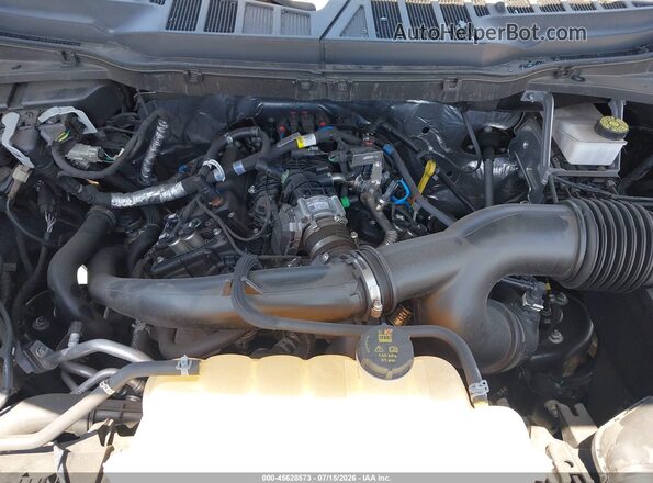 1FTEW2KP0RKE75322 2024 FORD F150 Серый Вид сзади