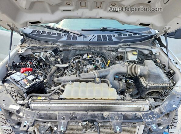 1FTEW2KP2RKD85217 2024 FORD F150 Gray Widok wnętrza z tyłu