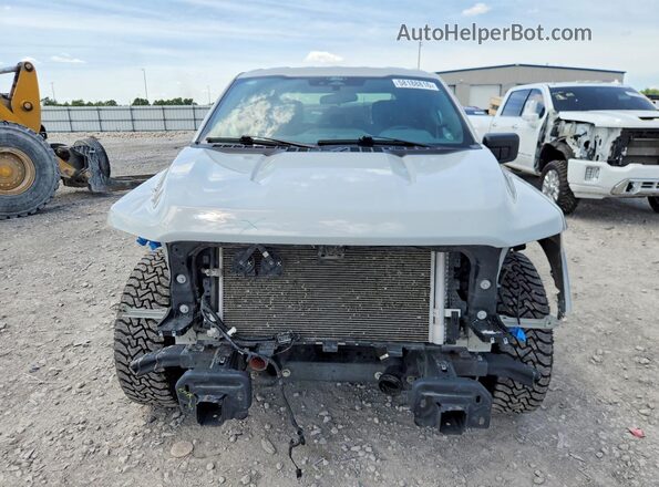 1FTEW2KP2RKD85217 2024 FORD F150 Gray Widok z przodu