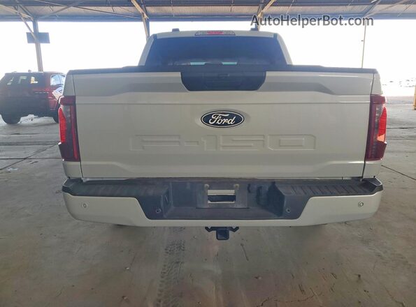 1FTEW2KP9SKE10751 2025 FORD F150 Gray Rear view
