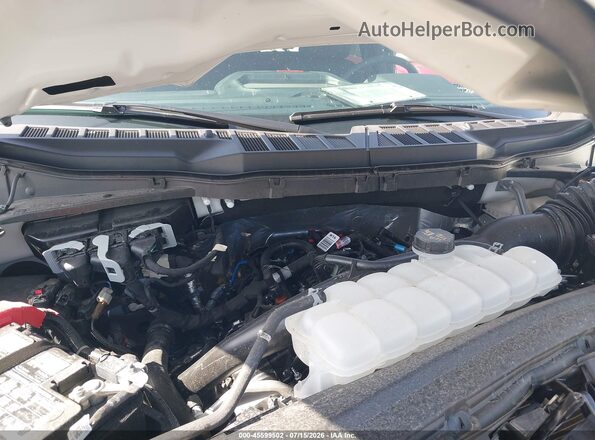 1FTEW2KPXTKD50965 2026 FORD F150 White Widok z tyłu