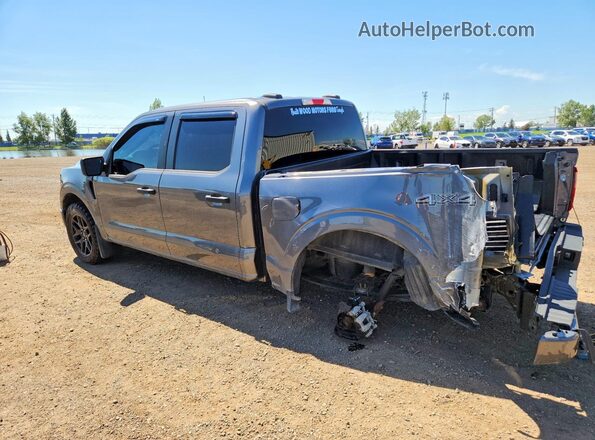 1FTEW2LP0RKD36063 2024 FORD F150 Gray Rear left