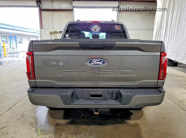 1FTEW2LP0SKD94437 2025 FORD F150 Gray უკანა ხედი