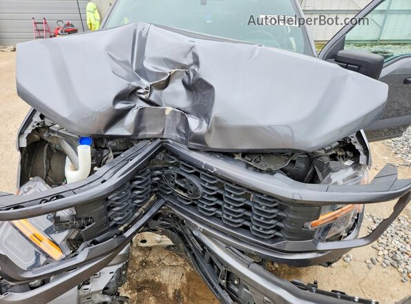 1FTEW2LP4RFA56851 2024 FORD F150 Gray Widok wnętrza z tyłu