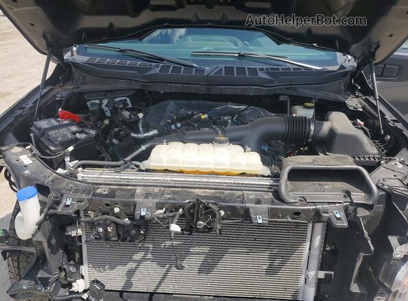 1FTEW2LP4RFB63253 2024 FORD F150 Gray უკანა სალონის ხედი
