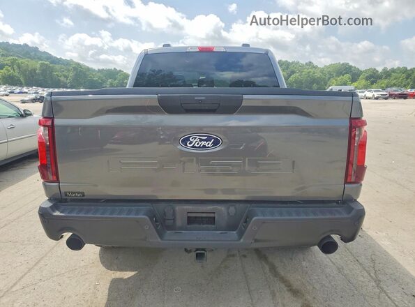 1FTEW2LP4RFB63253 2024 FORD F150 Gray უკანა ხედი