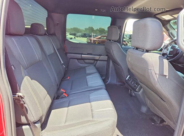 1FTEW2LP5RKF24710 2024 FORD F150 Maroon Widok tylnych siedzeń