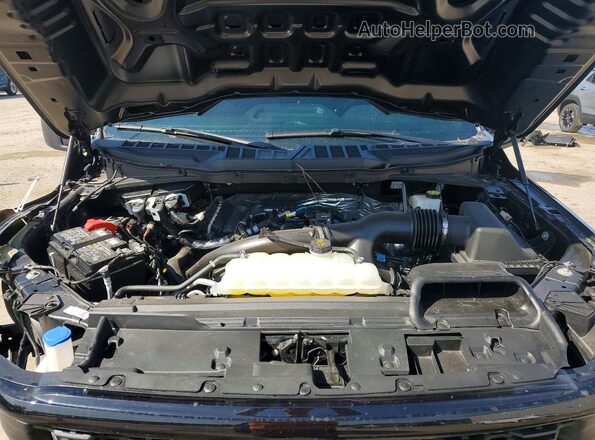 1FTEW2LP5RKF38283 2024 FORD F150 Gray Rear interior view