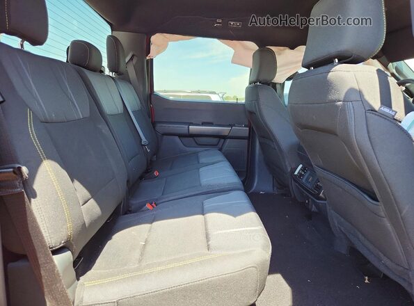1FTEW2LP7RKD55127 2024 FORD F150 Red Հետևի նստատեղերի տեսք