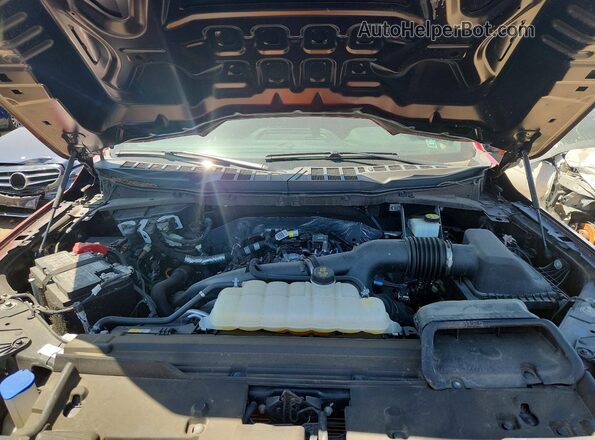 1FTEW2LP7RKD55127 2024 FORD F150 Red Սալոնի հետևի տեսք