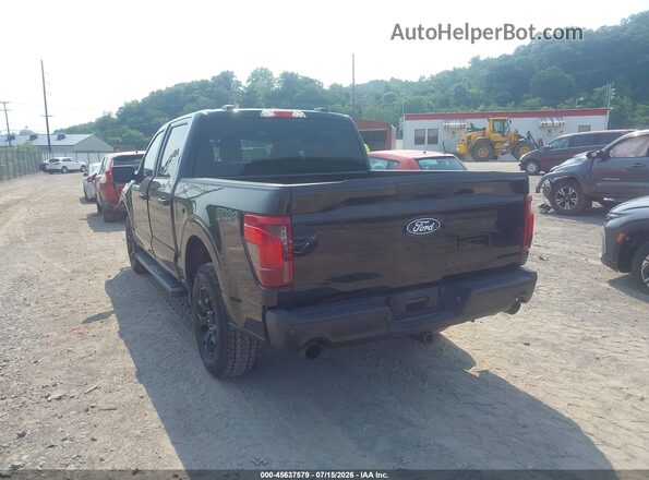 1FTEW2LP8SKE90445 2025 FORD F150 Black Задня ліва чверть