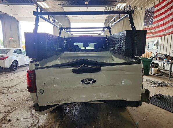 1FTEW2LP9RKE64527 2024 FORD F150 Белый Вид сзади