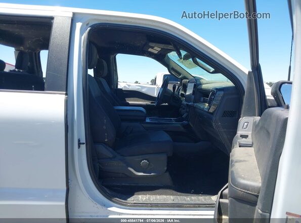 1FTEW2LP9RKE67587 2024 FORD F150 Белый Вид салона спереди