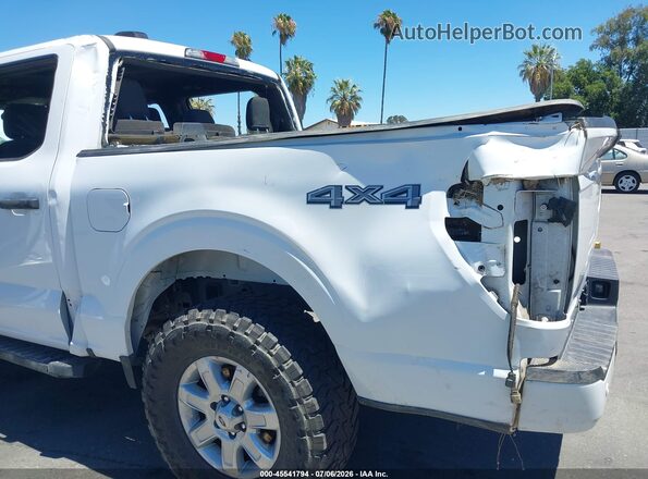 1FTEW2LP9RKE67587 2024 FORD F150 Белый Вид спереди