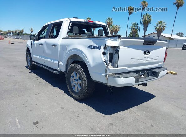 1FTEW2LP9RKE67587 2024 FORD F150 Белый Задняя левая четверть