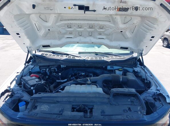1FTEW2LP9RKE67587 2024 FORD F150 Белый Вид сзади