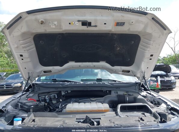 1FTEW3KP4RKD89842 2024 FORD F150 White Widok z tyłu