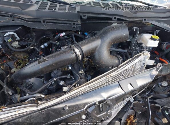 1FTEW3KP4TFA11911 2026 FORD F150 Black Հետևի տեսք