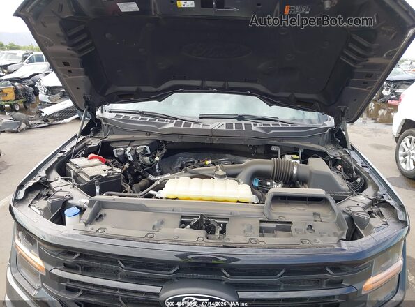 1FTEW3KP5SKD05159 2025 FORD F150 Gray უკანა ხედი