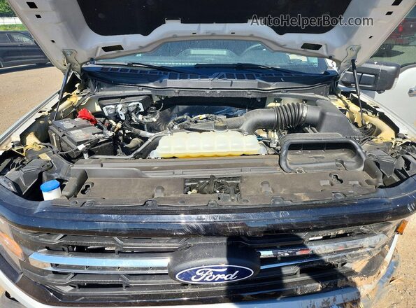 1FTEW3LP0RFA28650 2024 FORD F150 White Rear interior view