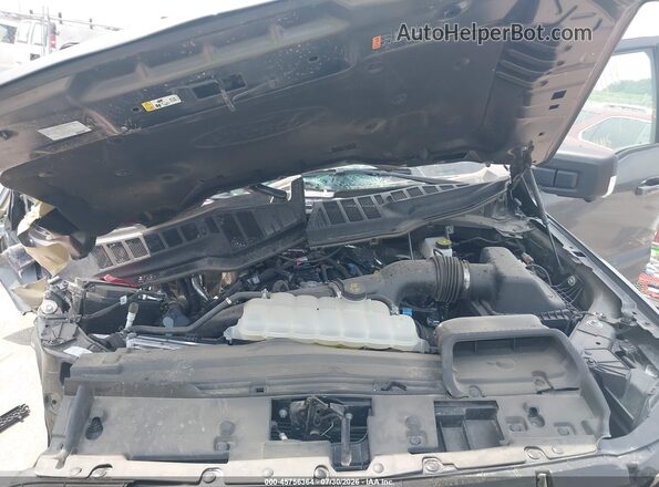 1FTEW3LP3SKF78504 2025 FORD F150 Gray Widok z tyłu