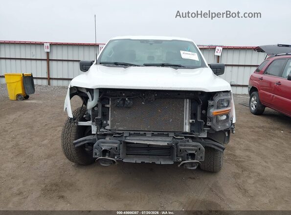 1FTEW3LP4SKE21676 2025 FORD F150 White უკანა სალონის ხედი