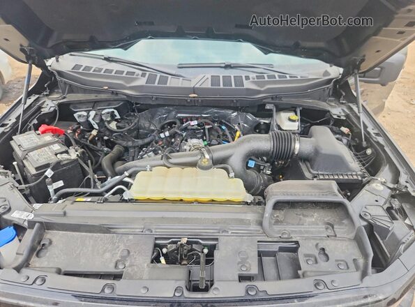 1FTEW3LP4SKF58164 2025 FORD F150 Black Widok wnętrza z tyłu