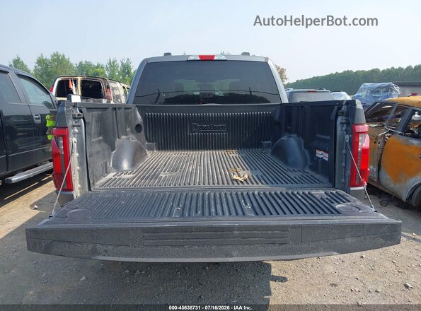 1FTEW3LP6SKE62813 2025 FORD F150 Gray 