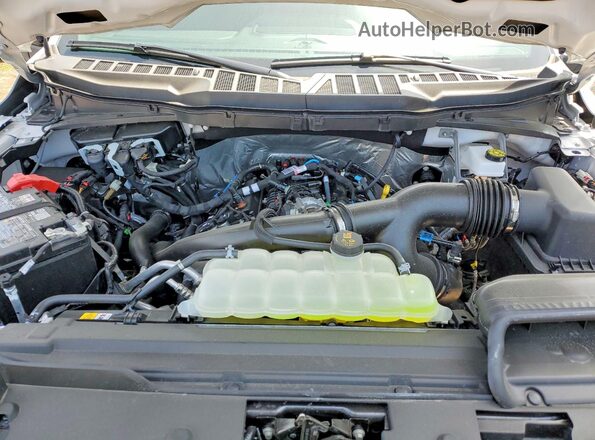 1FTEW3LP6TFA60445 2026 FORD F150 Gray Սալոնի հետևի տեսք