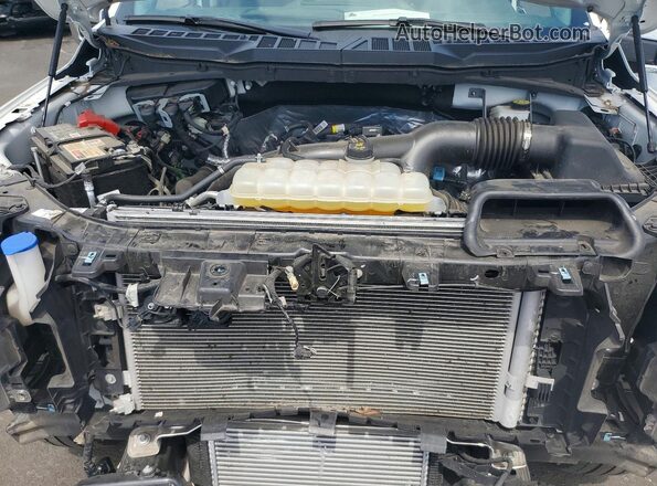 1FTEW3LP7RKE50762 2024 FORD F150 Белый Вид задней части салона